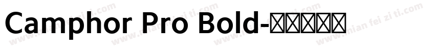 Camphor Pro Bold字体转换